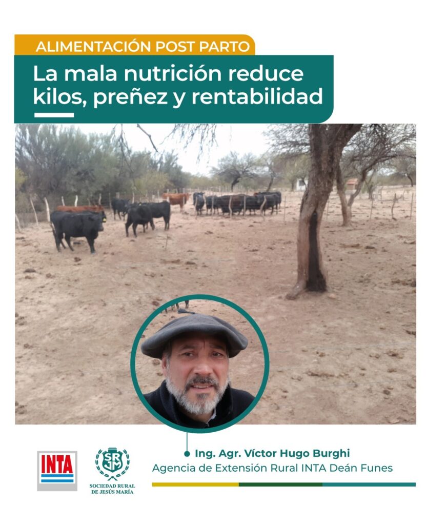 ALIMENTACIÓN POST-PARTO: LA MALA NUTRICIÓN REDUCE KILOS, PREÑEZ Y RENTABILIDAD