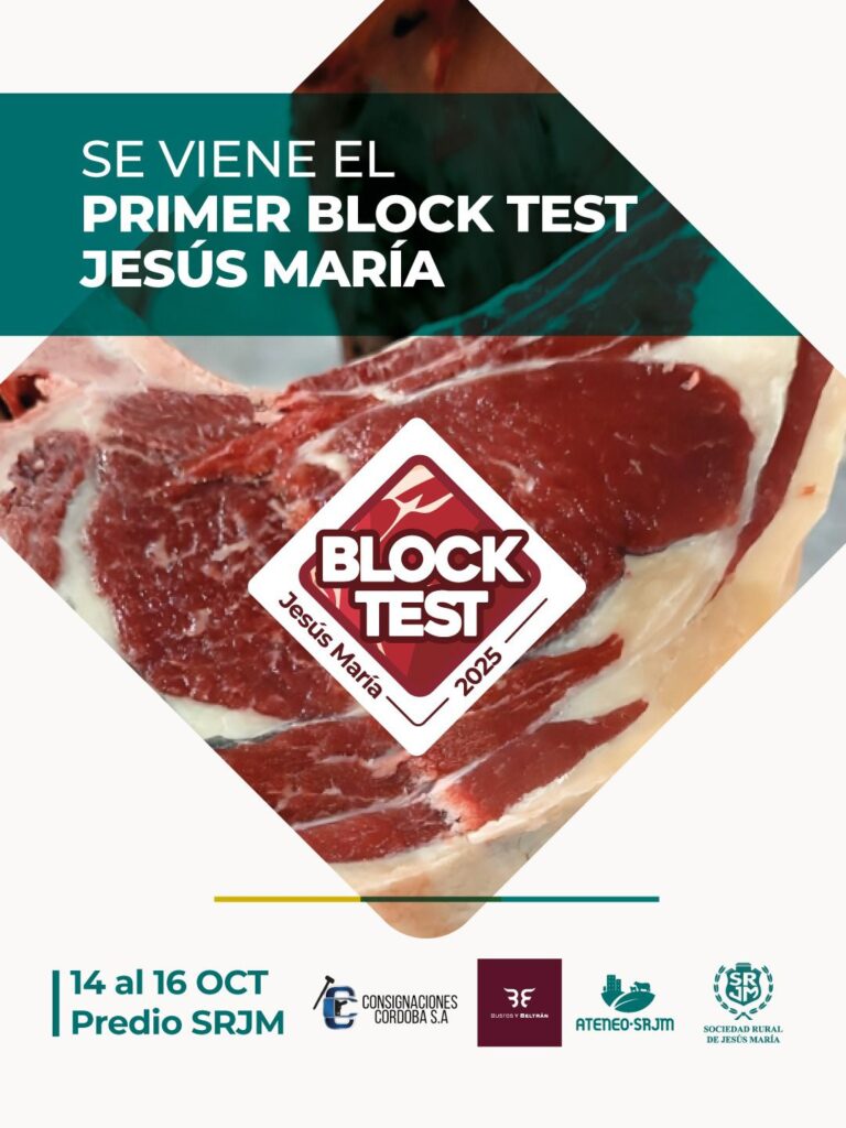 NO TE PIERDAS EL PRIMER BLOCK TEST JESÚS MARÍA