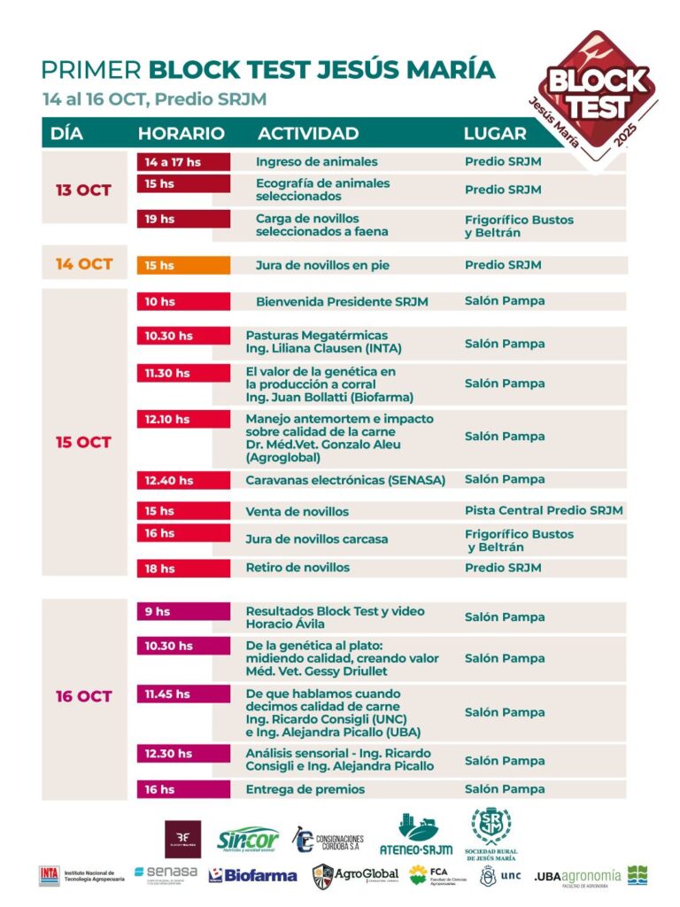PALPITAMOS EL BLOCK TEST JESÚS MARÍA 2025