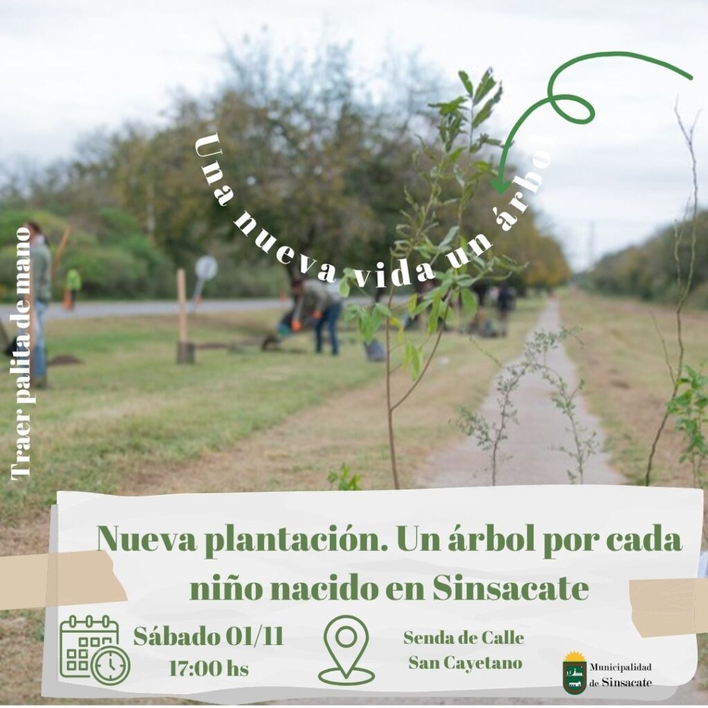 Plantación participativa: Una nueva vida  un árbol
