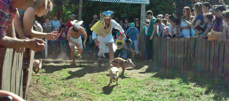 Con una multitud se desarrollo la 13º Carrera de Chanchos