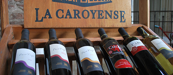 52 premios logrados por Bodega «La Caroyense»