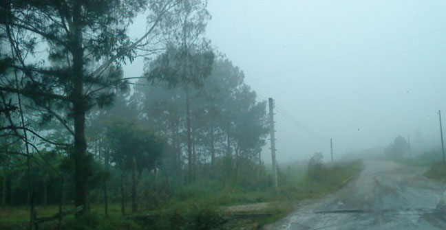 Comenzamos la semana con lluvia, pero como continúa