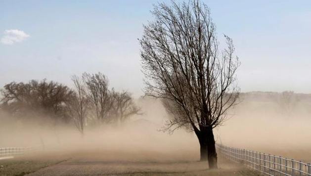 Clima: Por la tarde se iría el viento y sube la temperatura.