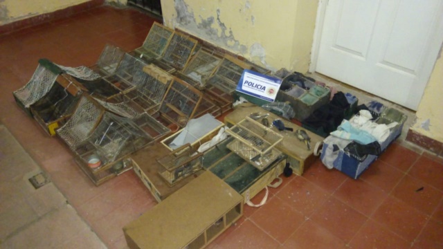Fueron detenidos con mas de 20 aves en tramperos.