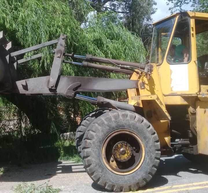 Se cayó un árbol en medio de la calle en Río Ceballos.