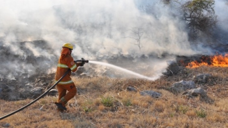 Bomberos internados con principio de asfixia.