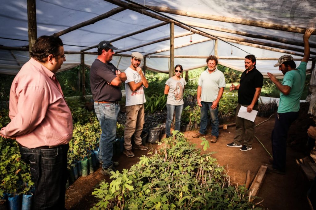 Plan Rinascere: se entregan primeras plantas de vid