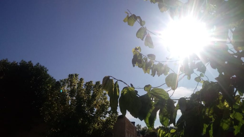 Rafa nos cuenta como estará el clima esta semana