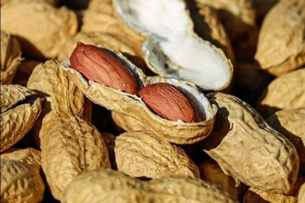 Córdoba alcanza un récord histórico en las exportaciones del maní