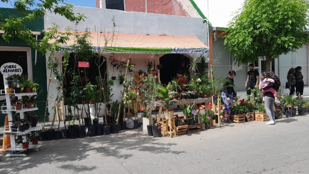 Cuidamos las plantas con los concejos de Vivero Azahares