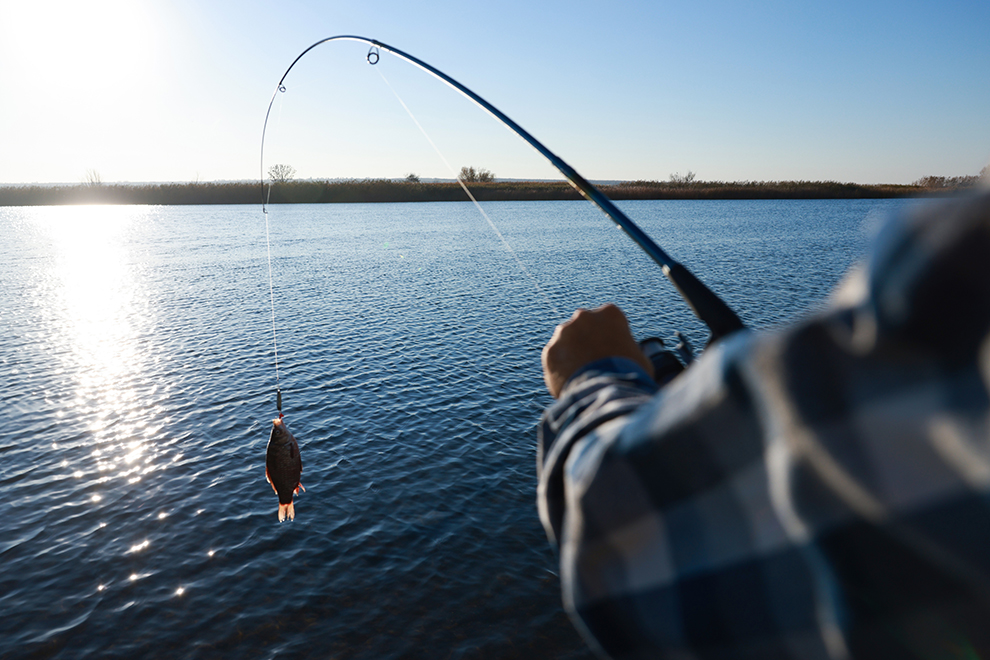 Pesca deportiva: Ambiente prorrogó la veda nocturna