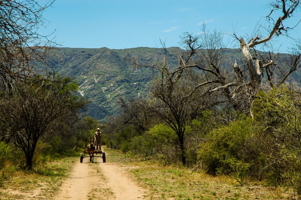 Pago por Servicios Ambientales: convocatoria para propietarios de tierras con bosque nativo