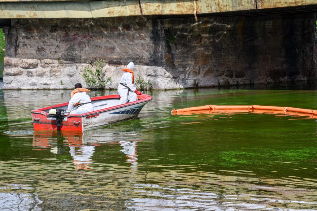 Lago San Roque: Ambiente realiza tareas de remediación para frenar el ingreso de cianobacterias