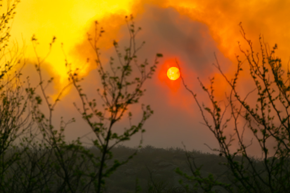 Incendios: en Villa Berna hay guardia de cenizas, en Capilla del Monte el fuego está contenido y siguen activos los focos de San Marcos Sierras y Chancaní