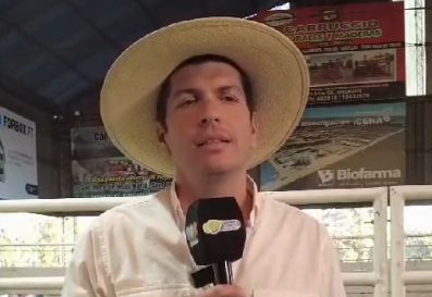 La rural coronó el año con un gran remate de hacienda