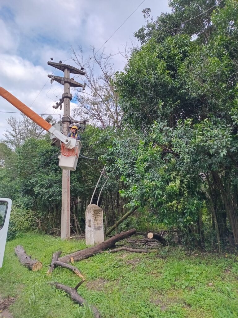 LA COOPE TRABAJANDO EN DIVERSOS FRENTES