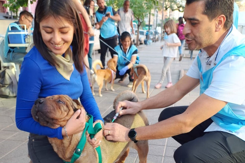 Este lunes comienza una campaña gratuita de vacunación y desparasitación de mascotas
